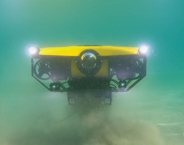 alesta-dalgiclikl-rov